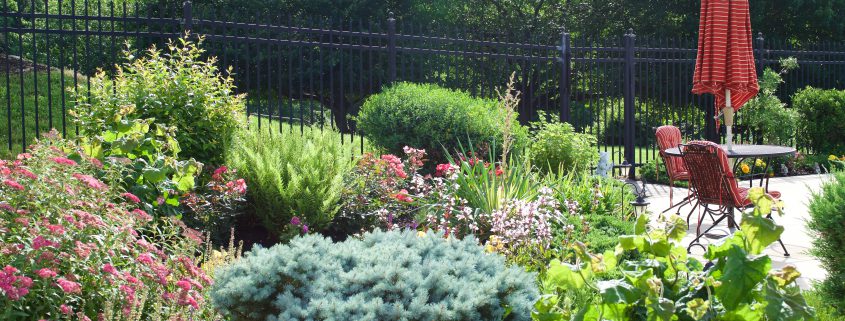 Best Perennial Garden Flowers
